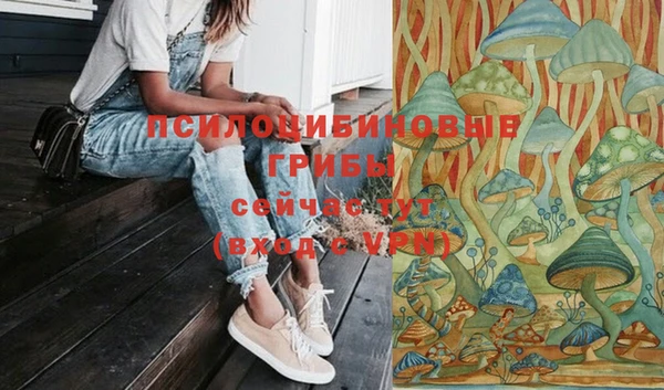 сатива Верхнеуральск