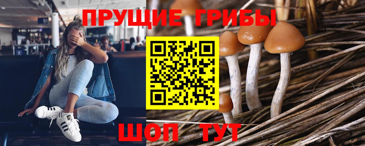 Галлюциногенные грибы ЛСД  наркотики  Можайск  Вход с VPN  Галлюциногенные грибы мицелий 