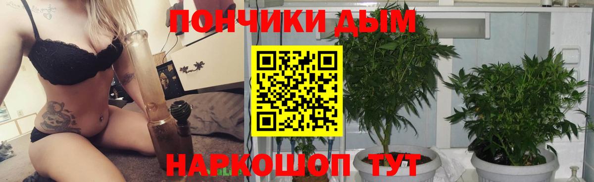 Канабис семена Можайск